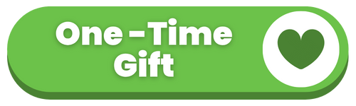 Your one-time gift brings support to families facing the trauma of a NICU stay or infant loss. Every dollar helps us offer vital mental health resources at no cost to families.